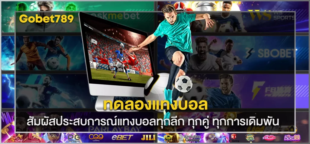 ทดลองแทงบอล