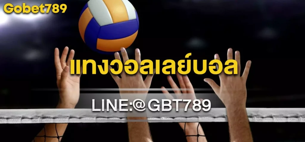 แทงวอลเลย์บอล